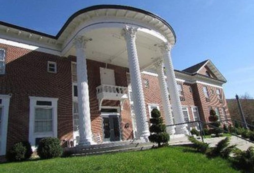 酒店 Macarthur Inn