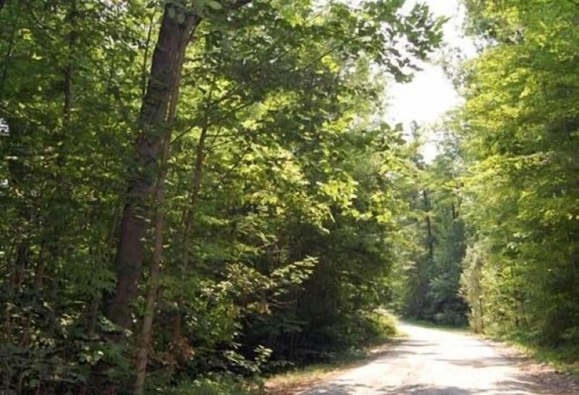 هتل St Clair Rv Resort