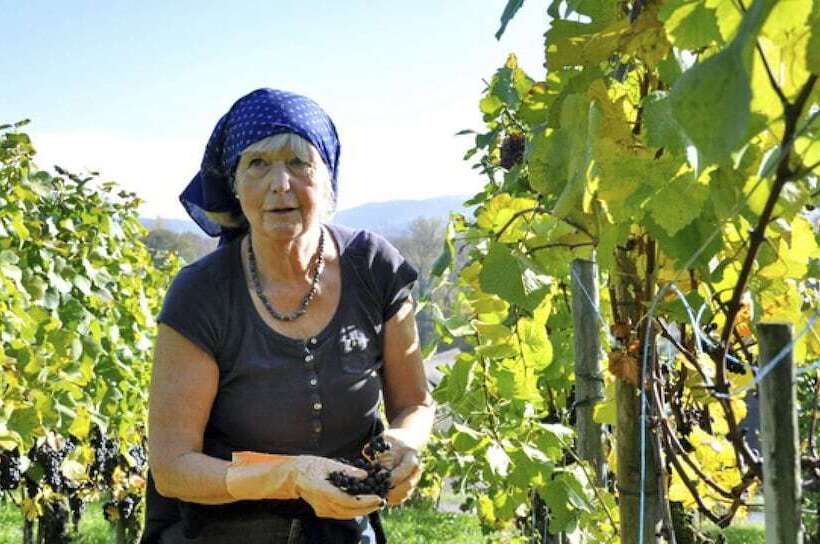 فندق Stiftung Kartause Ittingen