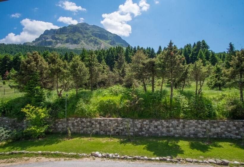 Orizontes Tzoumerkon Hotel Resort