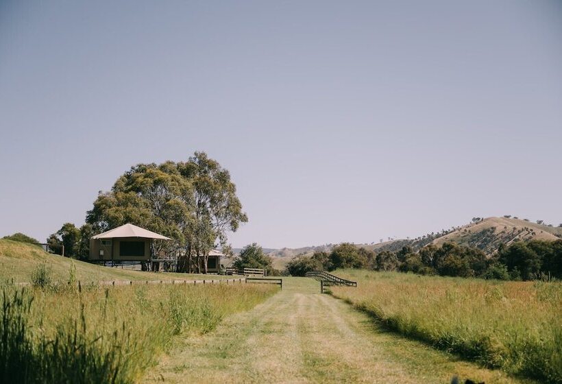 פנסיון Flowerdale Estate