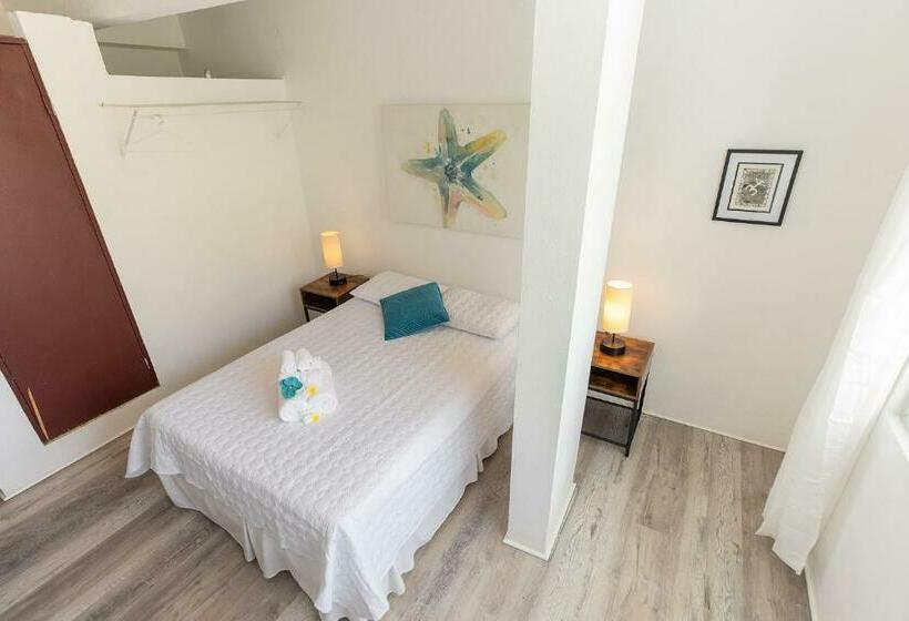 پانسیون Vieques Tropical Guest House