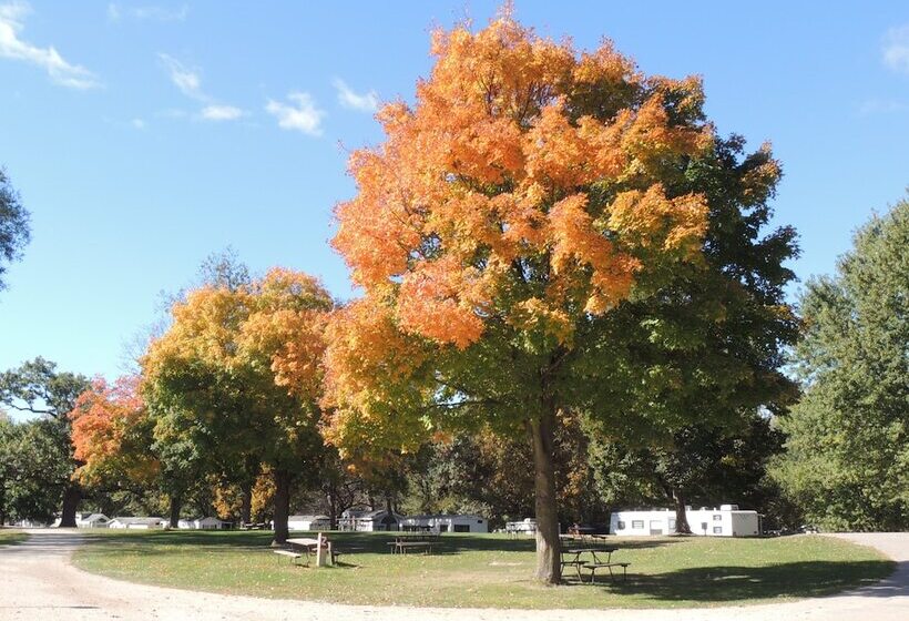 渡假胜地  O Connell S Rv Campground