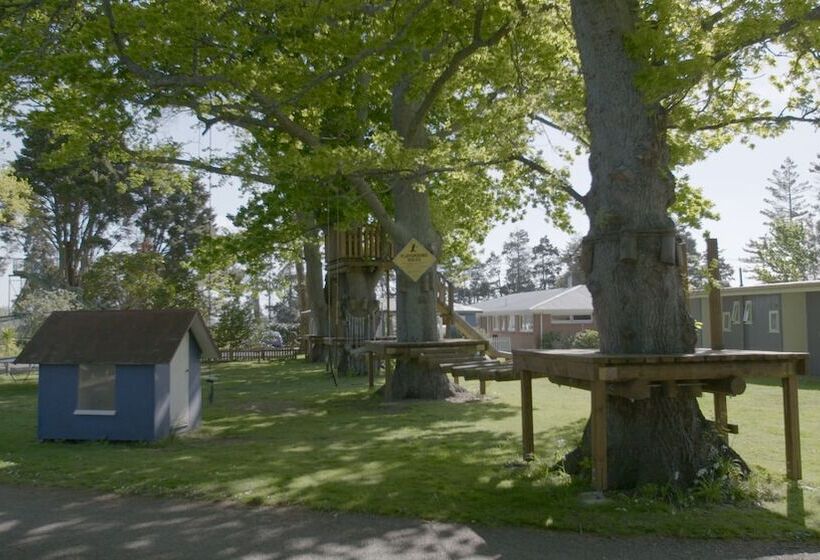 אתר נופש Te Aroha Holiday Park And Hot Pools