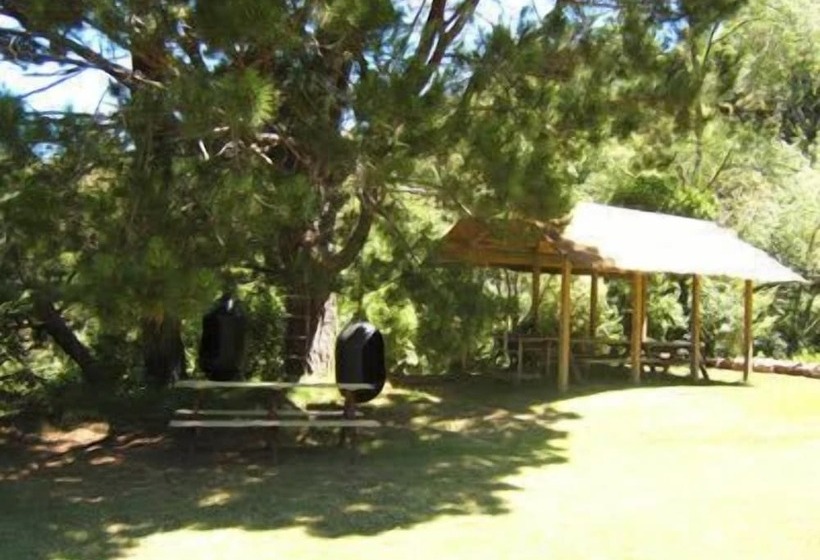 Te Mata Lodge