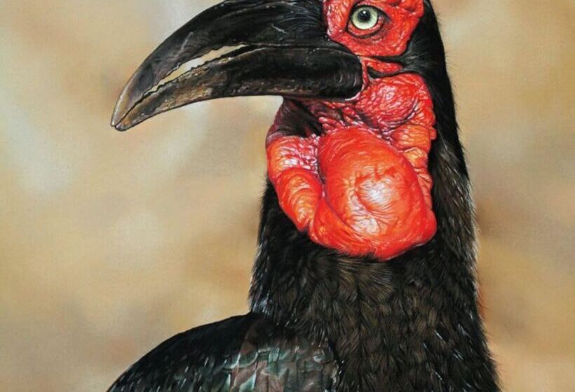 ホテル Baobab Ridge Private Lodge