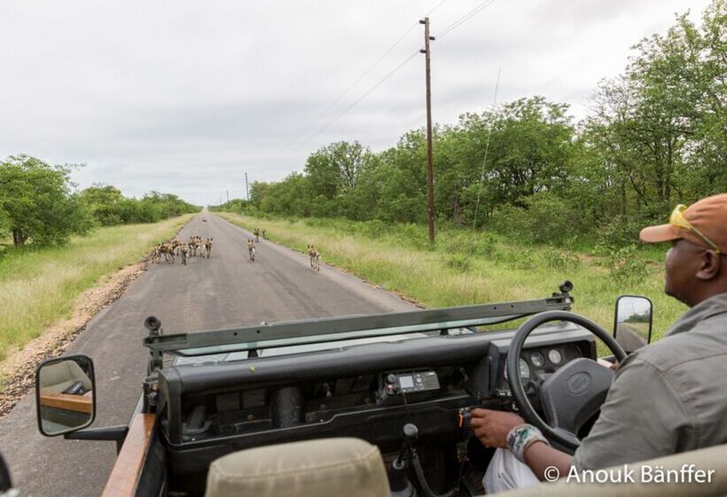 ホテル Baobab Ridge Private Lodge