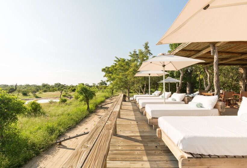 ホテル Baobab Ridge Private Lodge