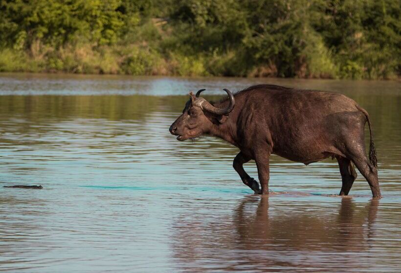 ホテル Baobab Ridge Private Lodge
