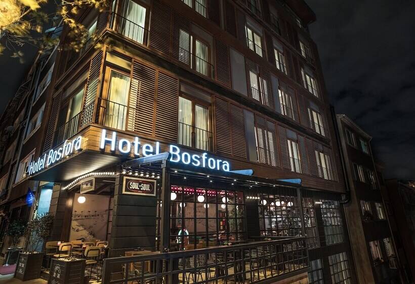 Fotos del hotel Bosfora:  49