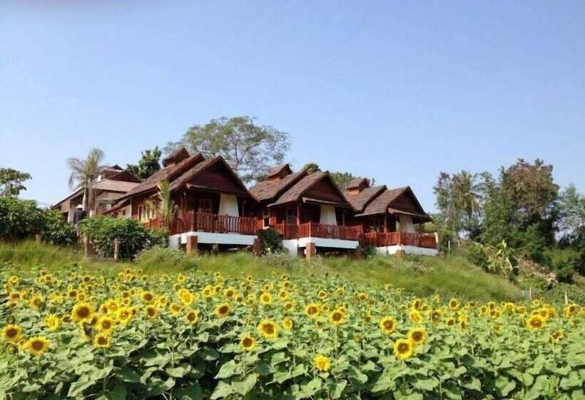 هتل Gin's Maekhong View Resort & Spa