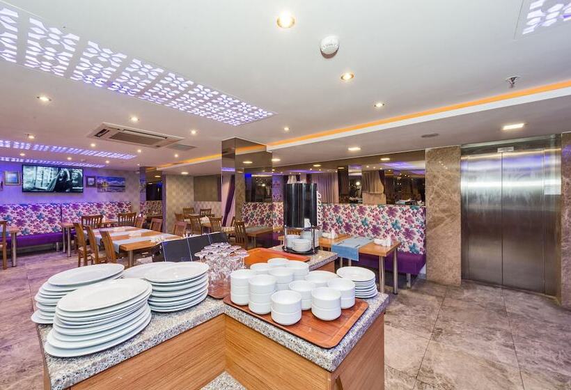 Fotos del hotel Grand Pamir:  40