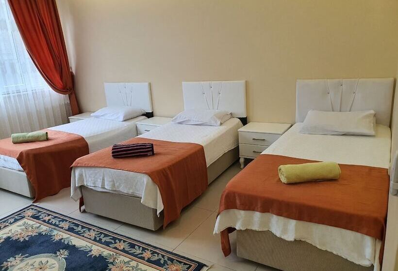 Fotos del hotel Grand Pamir:  6