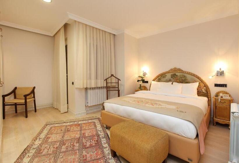 Fotos del hotel Lir Residence Suites:  9