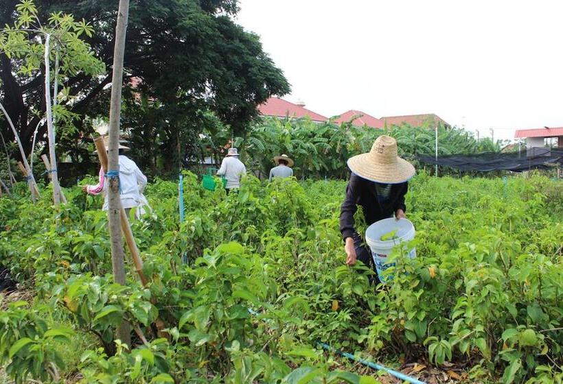 هتل Racha Herb Gardens