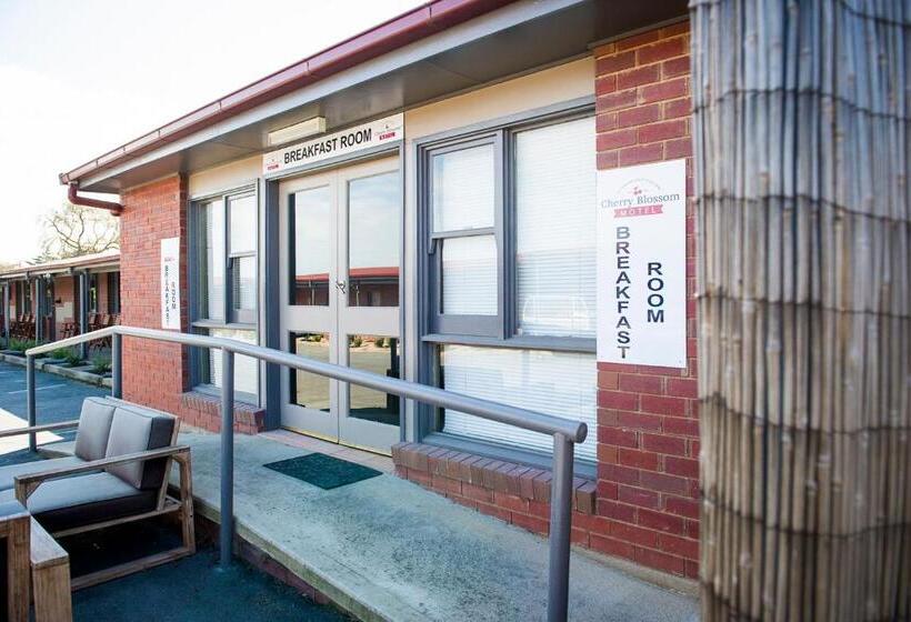 فندق على الطريق Cherry Blossom Motor Inn