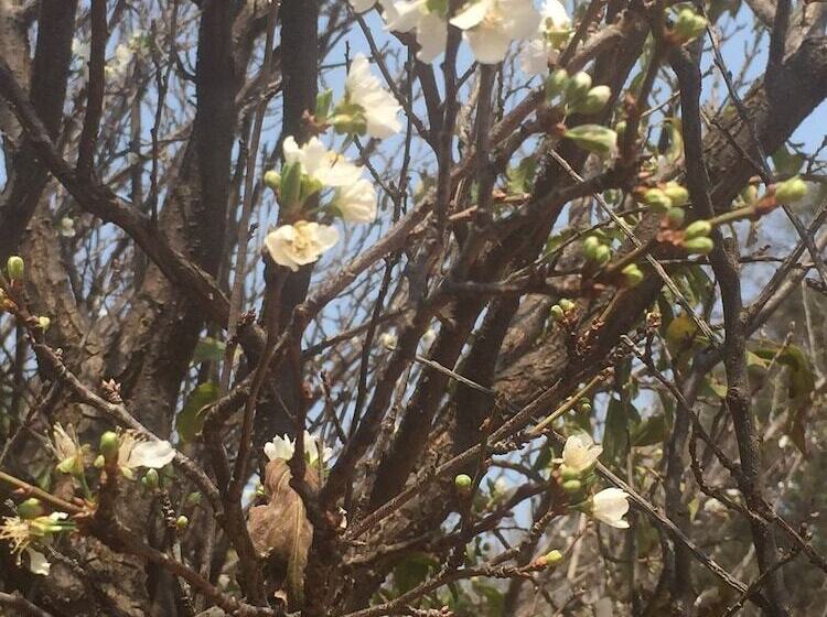 ペンション Gatz Guest House