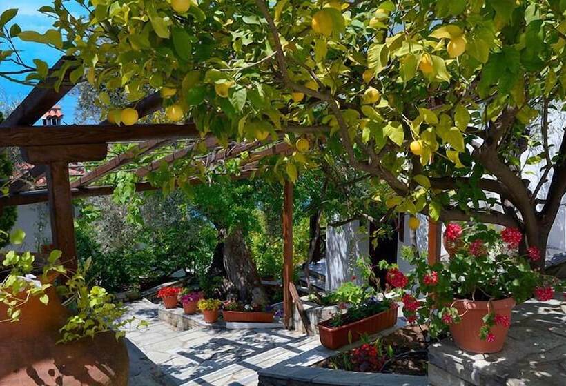 בית מלון כפרי Diplomats Holidays