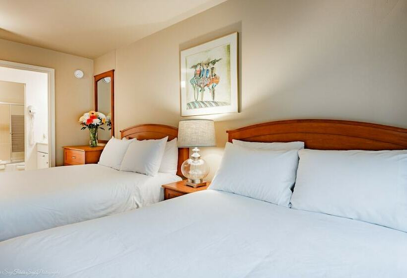 هتل La Residence Suite