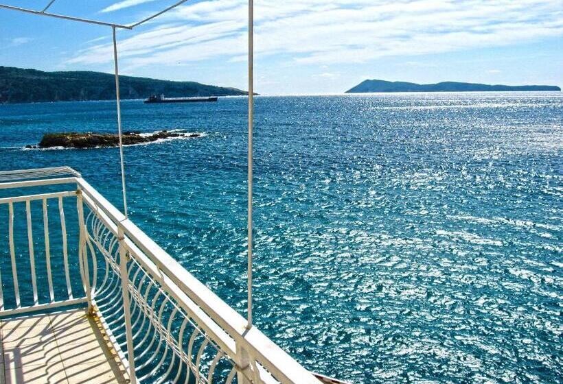 ホテル Apartments And Rooms By The Sea Komiza, Vis   2431