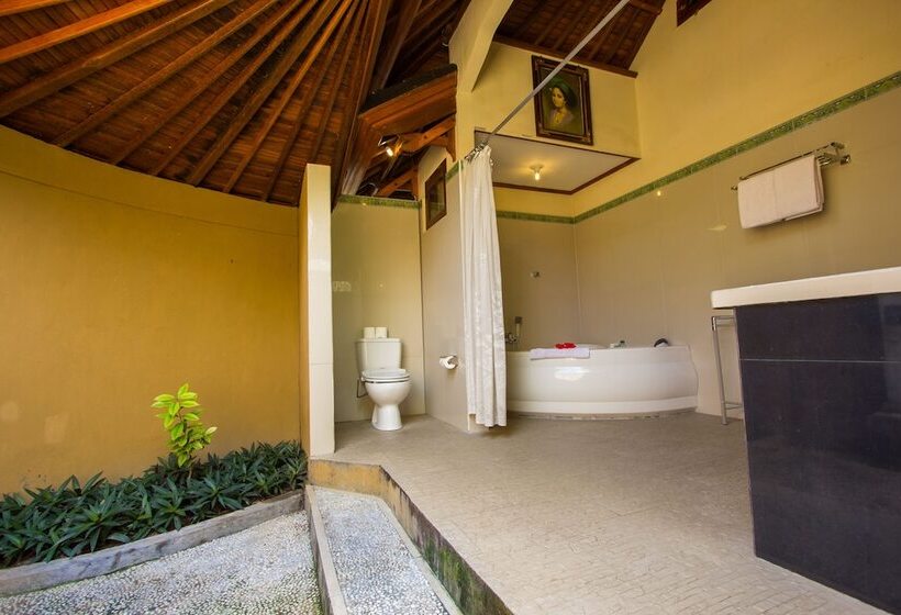 Arya Amed Beach Resort And Dive Center