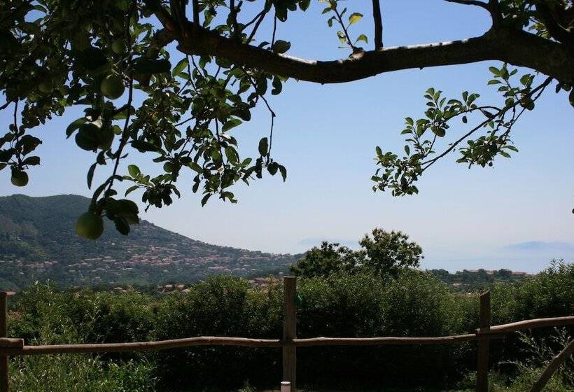 تختخواب و صبحانه Casa Pendola