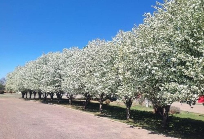 مبيت وإفطار Claremont Inn & Winery