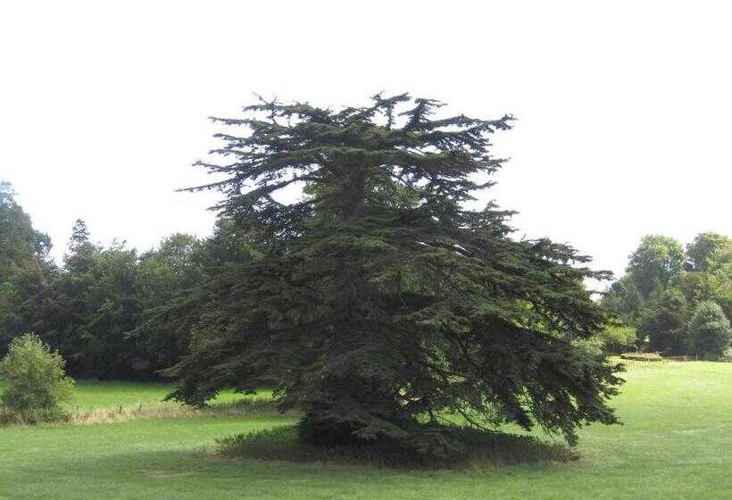 هتل Home Farm Boreham