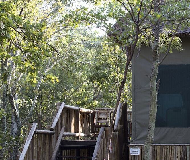 酒店 Honeyguide Ranger Camp