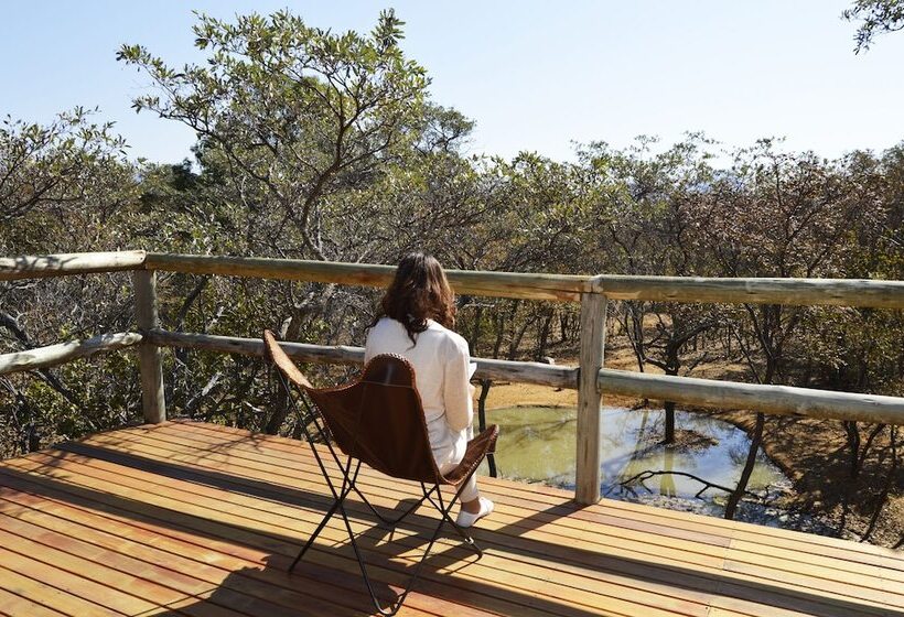 酒店 Honeyguide Ranger Camp
