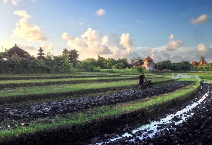 هتل Seabreeze Hostel Bali