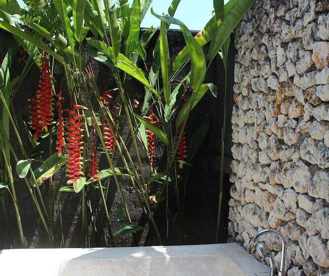 هتل Seabreeze Hostel Bali