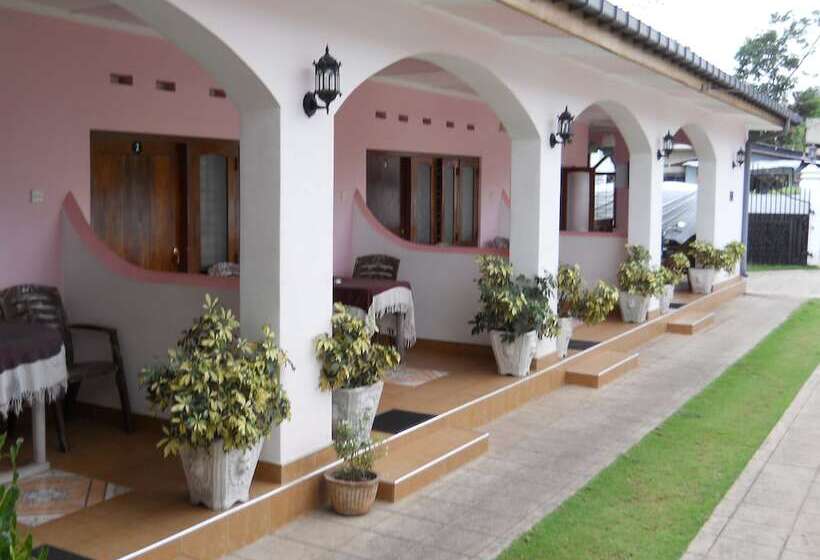پانسیون Ocean View Guesthouse