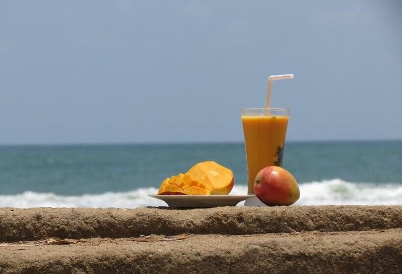 پانسیون Ocean View Guesthouse