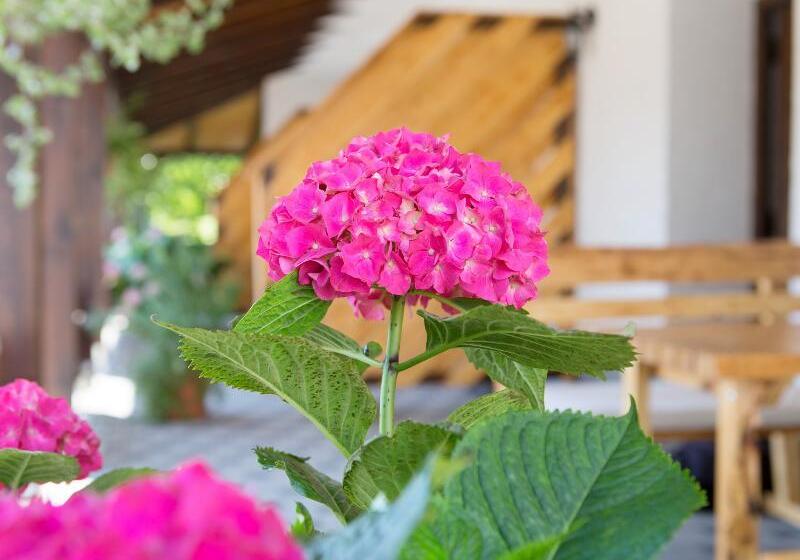 בית מלון כפרי Apartments Lake Plitvice