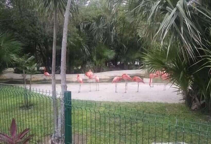هتل Vidan Riviera Maya