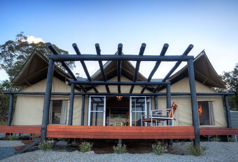 Alure Stanthorpe