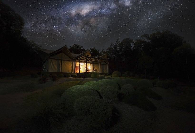 Alure Stanthorpe