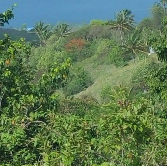 Grand View Villa