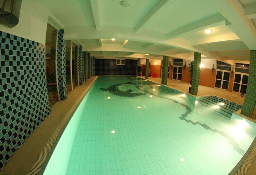 Fotos del hotel Daisy Superior:  39