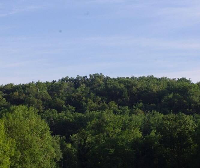 호텔 Hostellerie Les Gorges De L Aveyron