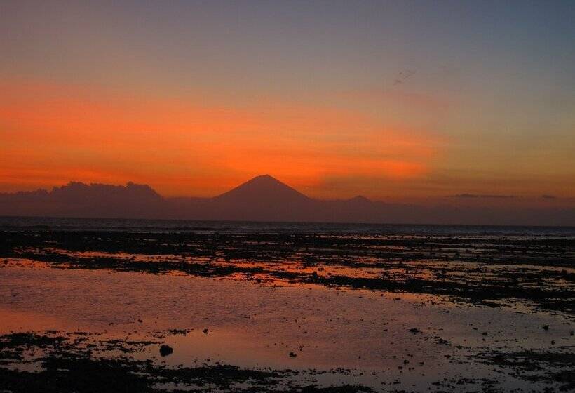 Fotos del hotel Manta Dive Gili Trawangan Resort:  12