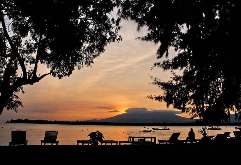 Fotos del hotel Manta Dive Gili Trawangan Resort:  15