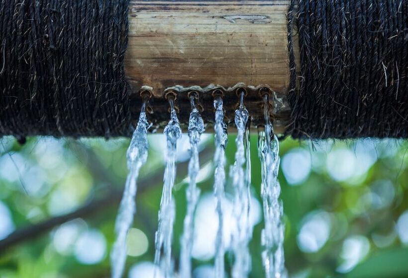 Fotos del hotel Manta Dive Gili Trawangan Resort:  25