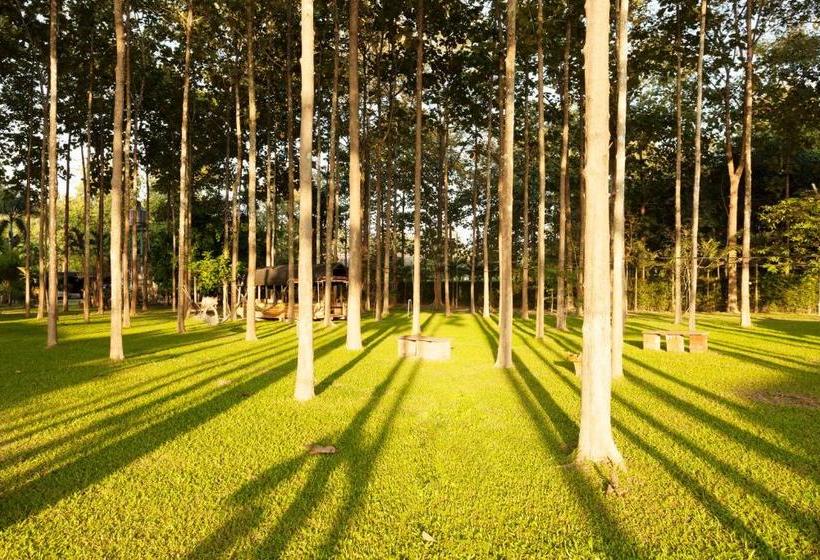 Курорт Le Saichan Maejo Chiang Mai