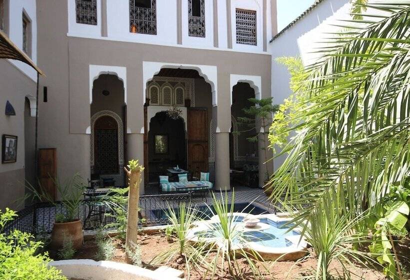 ریاض R´mila Medina Fez