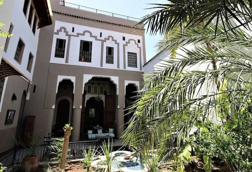 ریاض R´mila Medina Fez