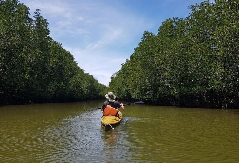 בית מלון כפרי Sichon Hideaway