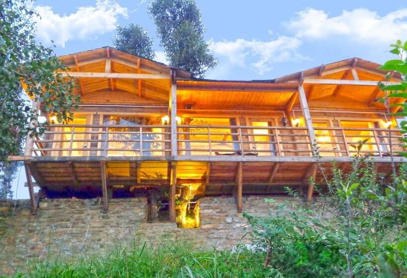 בית מלון כפרי Treehouse Resort