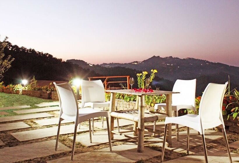 בית מלון כפרי Treehouse Resort